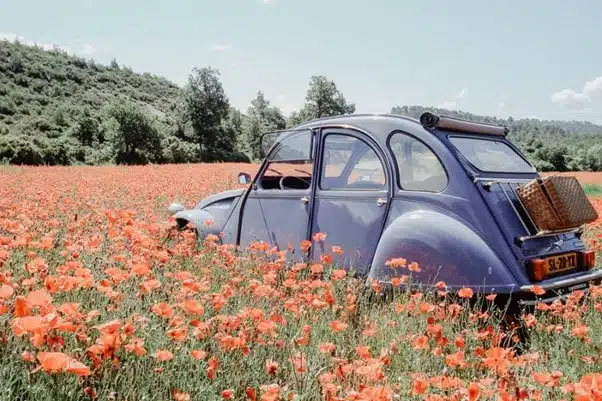 old timer in een bloemenveld