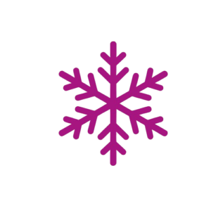 Winterse sfeer – perfect voor een ijssculpturen workshop